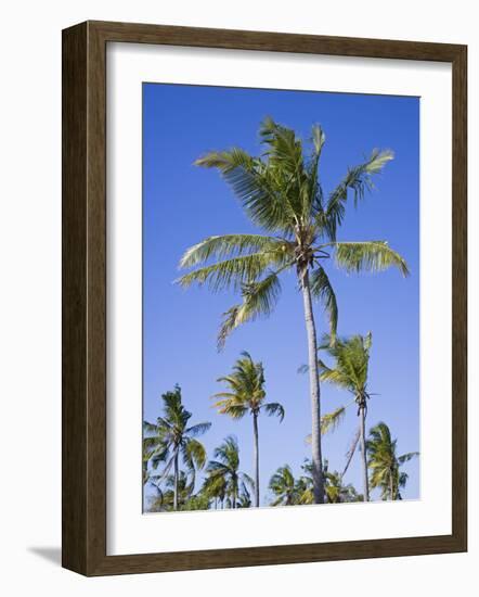 Palm Trees on Ibo Island, Part of the Quirimbas Archipelago, Mozambique-Julian Love-Framed Photographic Print