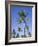 Palm Trees on Ibo Island, Part of the Quirimbas Archipelago, Mozambique-Julian Love-Framed Photographic Print