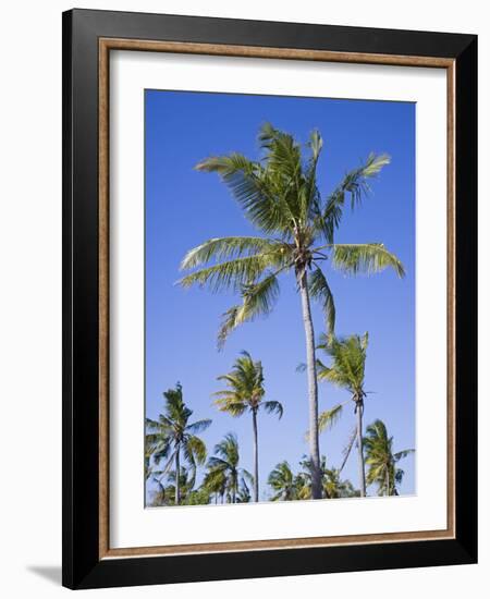 Palm Trees on Ibo Island, Part of the Quirimbas Archipelago, Mozambique-Julian Love-Framed Photographic Print