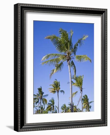 Palm Trees on Ibo Island, Part of the Quirimbas Archipelago, Mozambique-Julian Love-Framed Photographic Print