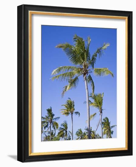 Palm Trees on Ibo Island, Part of the Quirimbas Archipelago, Mozambique-Julian Love-Framed Photographic Print