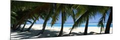 Premium Photographic Print