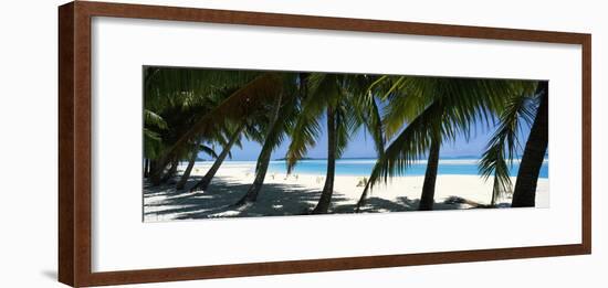 Palm Trees on the Beach, Aitutaki, Cook Islands-null-Framed Photographic Print