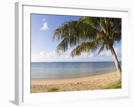 Palm Trees on the Beach, Anini Beach, Kauai, Hawaii, USA-null-Framed Photographic Print