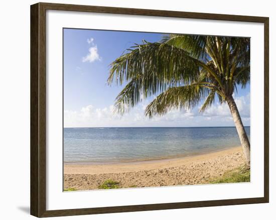 Palm Trees on the Beach, Anini Beach, Kauai, Hawaii, USA-null-Framed Photographic Print