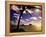 Palm Trees on the Beach at Sunset, Lanikai, U.S.A.-Ann Cecil-Framed Premier Image Canvas