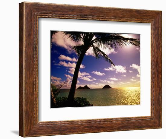 Palm Trees on the Beach at Sunset, Lanikai, U.S.A.-Ann Cecil-Framed Photographic Print