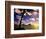 Palm Trees on the Beach at Sunset, Lanikai, U.S.A.-Ann Cecil-Framed Photographic Print