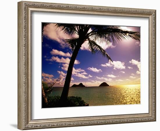 Palm Trees on the Beach at Sunset, Lanikai, U.S.A.-Ann Cecil-Framed Photographic Print