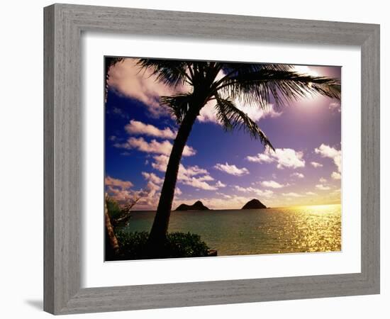 Palm Trees on the Beach at Sunset, Lanikai, U.S.A.-Ann Cecil-Framed Photographic Print