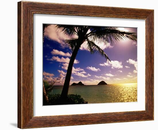 Palm Trees on the Beach at Sunset, Lanikai, U.S.A.-Ann Cecil-Framed Photographic Print