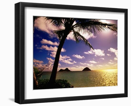 Palm Trees on the Beach at Sunset, Lanikai, U.S.A.-Ann Cecil-Framed Photographic Print