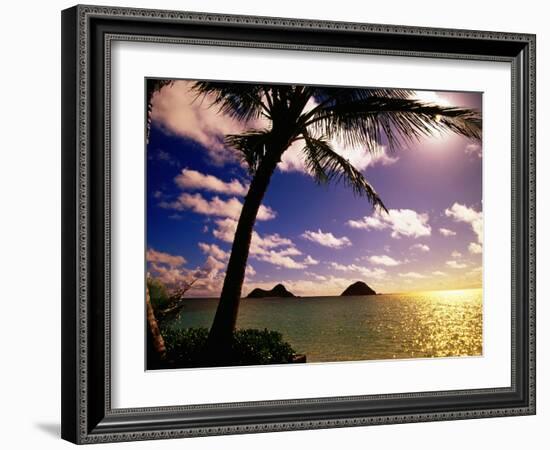 Palm Trees on the Beach at Sunset, Lanikai, U.S.A.-Ann Cecil-Framed Photographic Print