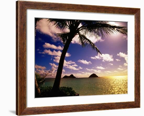 Palm Trees on the Beach at Sunset, Lanikai, U.S.A.-Ann Cecil-Framed Photographic Print