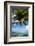 Palm Trees on the Beach, Bora Bora, Society Islands, French Polynesia-null-Framed Photographic Print