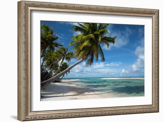 Palm Trees on the Beach, Bora Bora, Society Islands, French Polynesia-null-Framed Photographic Print