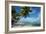 Palm Trees on the Beach, Bora Bora, Society Islands, French Polynesia-null-Framed Photographic Print