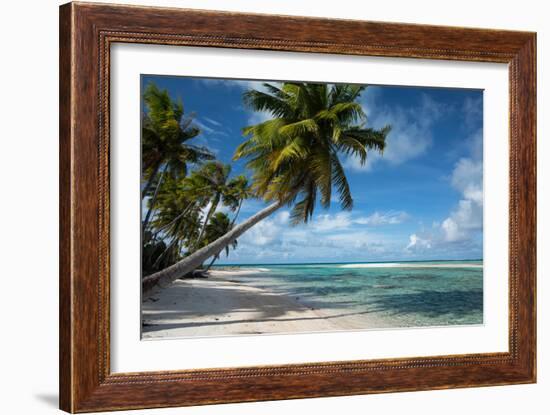 Palm Trees on the Beach, Bora Bora, Society Islands, French Polynesia-null-Framed Photographic Print