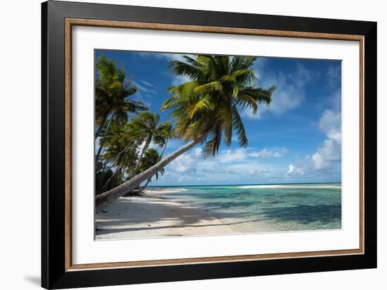 Palm Trees on the Beach, Bora Bora, Society Islands, French Polynesia-null-Framed Photographic Print