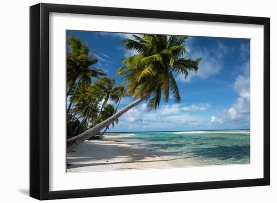 Palm Trees on the Beach, Bora Bora, Society Islands, French Polynesia-null-Framed Photographic Print