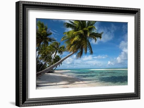 Palm Trees on the Beach, Bora Bora, Society Islands, French Polynesia-null-Framed Photographic Print