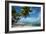 Palm Trees on the Beach, Bora Bora, Society Islands, French Polynesia-null-Framed Photographic Print