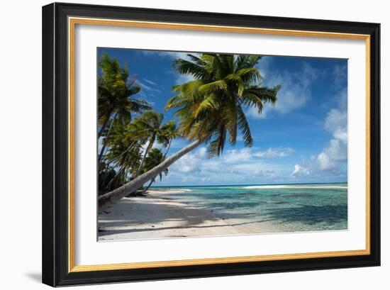 Palm Trees on the Beach, Bora Bora, Society Islands, French Polynesia-null-Framed Photographic Print