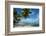 Palm Trees on the Beach, Bora Bora, Society Islands, French Polynesia-null-Framed Photographic Print