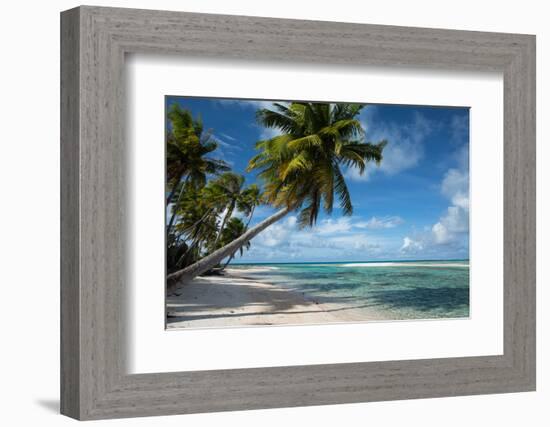 Palm Trees on the Beach, Bora Bora, Society Islands, French Polynesia-null-Framed Photographic Print