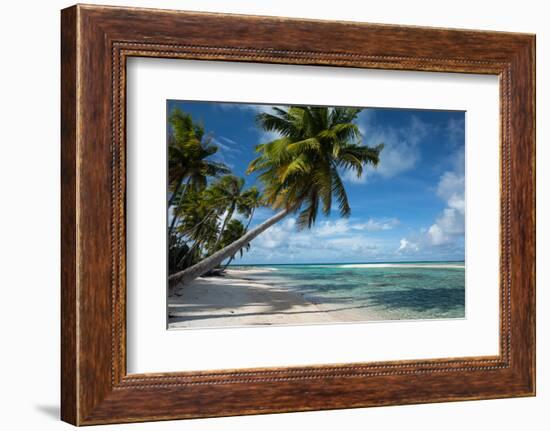 Palm Trees on the Beach, Bora Bora, Society Islands, French Polynesia-null-Framed Photographic Print