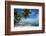 Palm Trees on the Beach, Bora Bora, Society Islands, French Polynesia-null-Framed Photographic Print