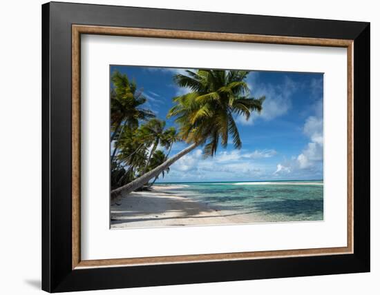 Palm Trees on the Beach, Bora Bora, Society Islands, French Polynesia-null-Framed Photographic Print