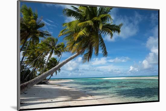 Palm Trees on the Beach, Bora Bora, Society Islands, French Polynesia-null-Mounted Photographic Print