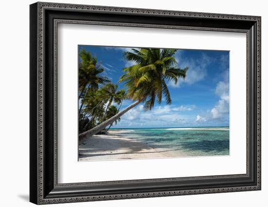 Palm Trees on the Beach, Bora Bora, Society Islands, French Polynesia-null-Framed Photographic Print