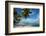 Palm Trees on the Beach, Bora Bora, Society Islands, French Polynesia-null-Framed Photographic Print