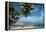 Palm Trees on the Beach, Bora Bora, Society Islands, French Polynesia-null-Framed Premier Image Canvas