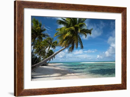 Palm Trees on the Beach, Bora Bora, Society Islands, French Polynesia-null-Framed Photographic Print