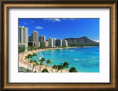 400px x 309px - 'Palm trees on the beach, Diamond Head, Waikiki Beach, Oahu, Honolulu,  Hawaii, USA' Photographic Print | Art.com