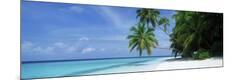Premium Photographic Print