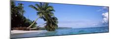 Premium Photographic Print