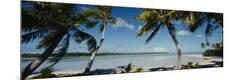 Premium Photographic Print