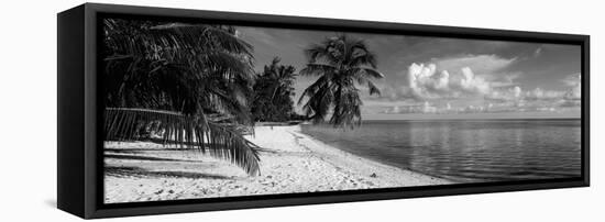 Palm Trees on the Beach, Matira Beach, Bora Bora, French Polynesia-null-Framed Stretched Canvas