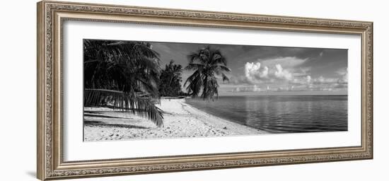 Palm Trees on the Beach, Matira Beach, Bora Bora, French Polynesia-null-Framed Photographic Print