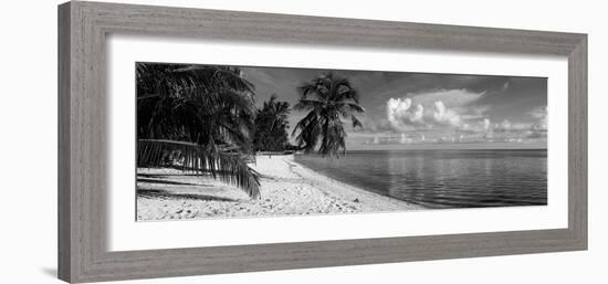 Palm Trees on the Beach, Matira Beach, Bora Bora, French Polynesia-null-Framed Photographic Print