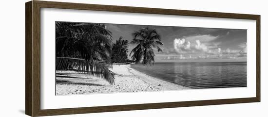 Palm Trees on the Beach, Matira Beach, Bora Bora, French Polynesia-null-Framed Photographic Print