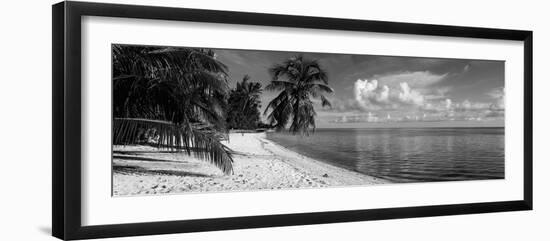 Palm Trees on the Beach, Matira Beach, Bora Bora, French Polynesia-null-Framed Photographic Print