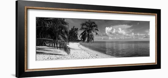 Palm Trees on the Beach, Matira Beach, Bora Bora, French Polynesia-null-Framed Photographic Print