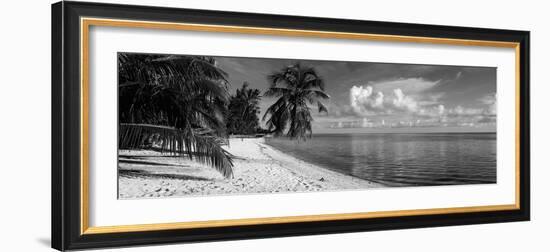 Palm Trees on the Beach, Matira Beach, Bora Bora, French Polynesia-null-Framed Photographic Print