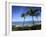 Palm Trees on the Beach, Maui, Hawaii, USA-null-Framed Photographic Print