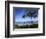 Palm Trees on the Beach, Maui, Hawaii, USA-null-Framed Photographic Print